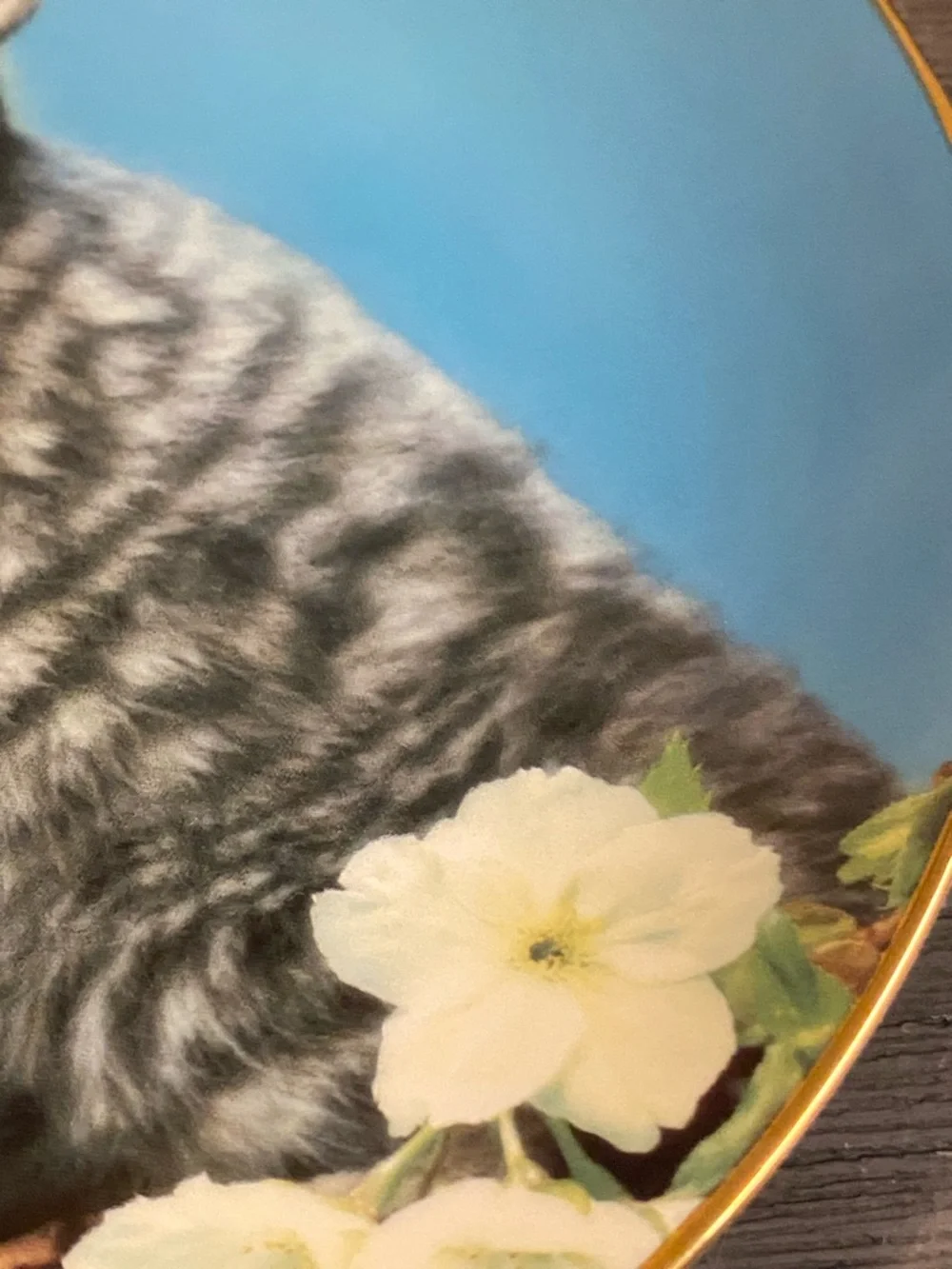 Gray Tabby Kitten Decorative Wall Plate